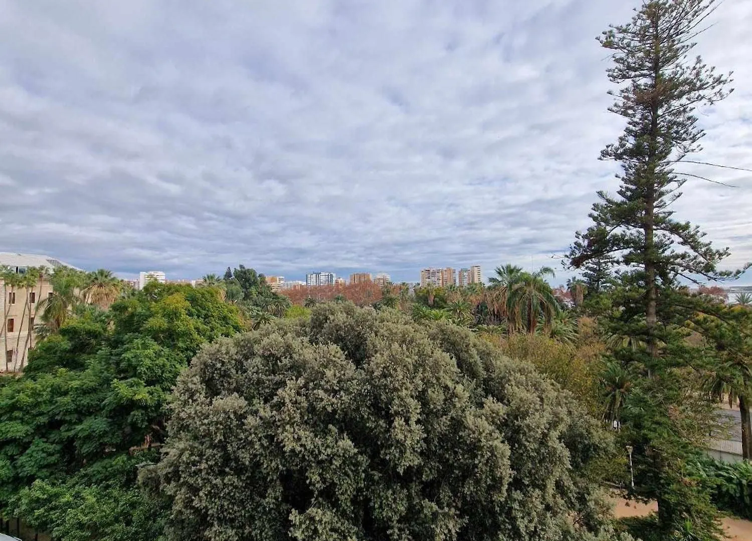 2 Rooms 2 Baths Y Parking Cathedral Malaga